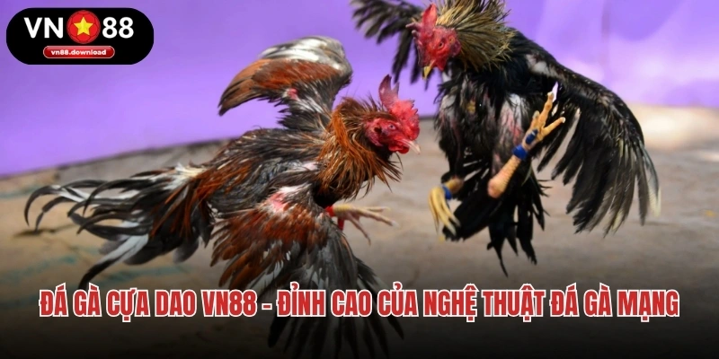 Đá Gà Cựa Dao VN88 – Đỉnh Cao Của Nghệ Thuật Đá Gà Mạng