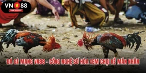Đá Gà Mạng VN88 - Công Nghệ Số Hóa Xem Chọi Kê Mãn Nhãn
