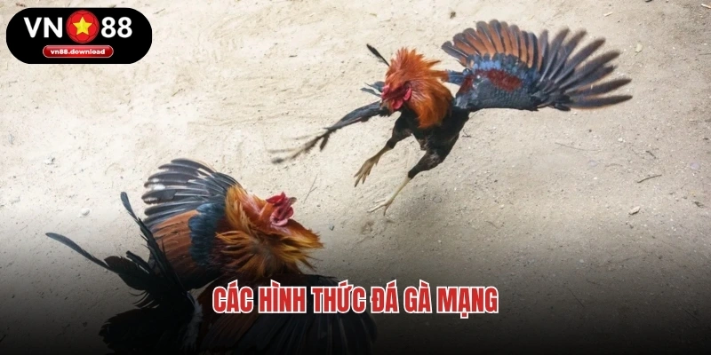 Các hình thức đá gà mạng