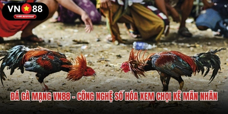 Đá Gà Mạng VN88 - Công Nghệ Số Hóa Xem Chọi Kê Mãn Nhãn