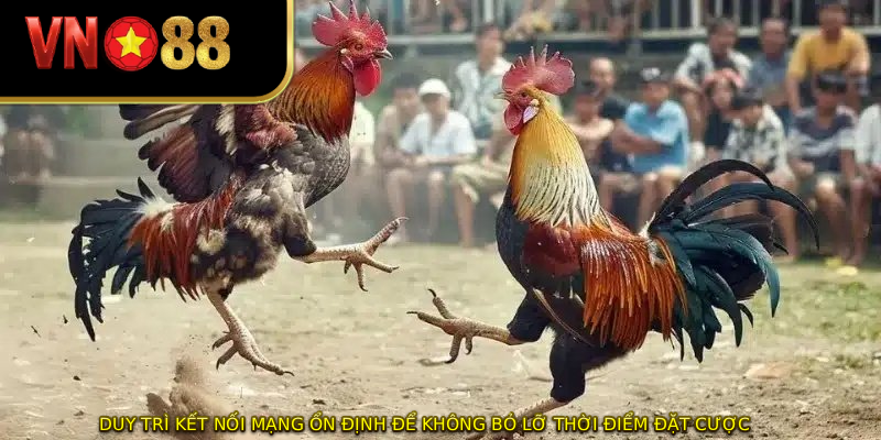 Duy trì kết nối mạng ổn định để không bỏ lỡ thời điểm đặt cược